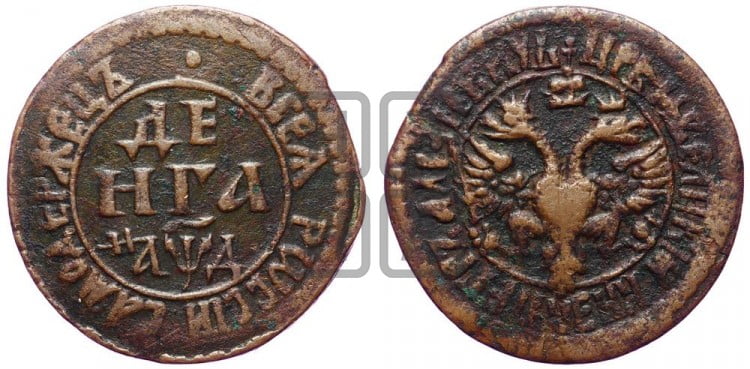 Денга 1704 года (все разновидности с редкостью R)