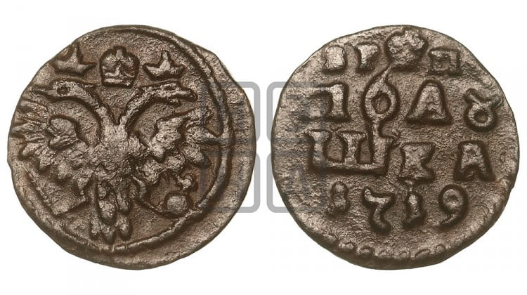 Полушка 1719 года ( без букв монетного двора, все разновидности без отметки редкости)