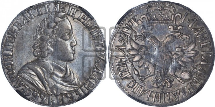 Полтина 1702 года (широкий бюст, шея толстая, венок без банта)