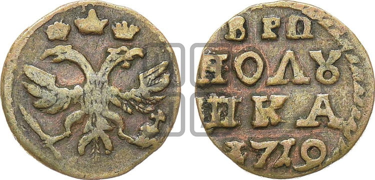 Полушка 1719 года ( без букв монетного двора, все разновидности без отметки редкости)