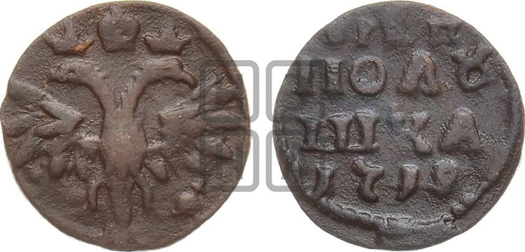 Полушка 1719 года ( без букв монетного двора, все разновидности без отметки редкости)