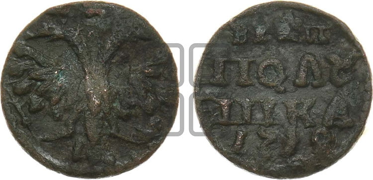 Полушка 1719 года ( без букв монетного двора, все разновидности без отметки редкости)