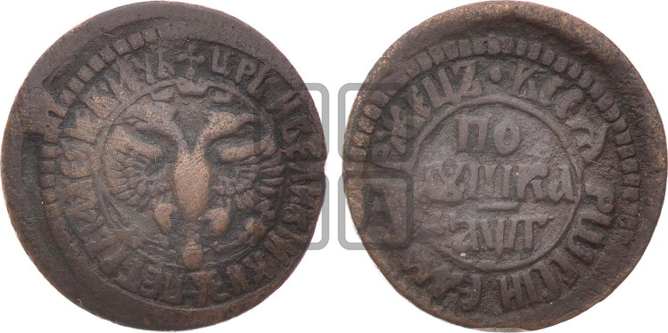Полушка 1703 года (все разновидности с редкостью R2)