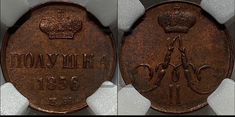 Полушка 1856 года (без зубчатых ободков /корона закрытая)