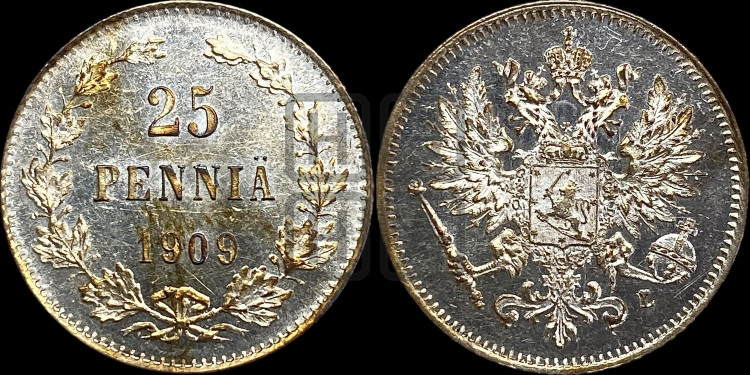 25 пенни 1909 года
