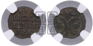 Полушка 1719 года ( без букв монетного двора, все разновидности без отметки редкости)