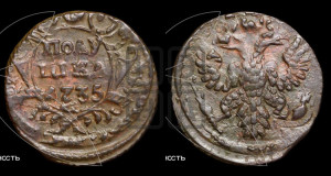 Полушка 1735 года (грудь узкая, в крыле 9-10 перьев)