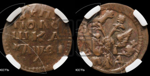 Полушка 1719 года НД (НД, все разновидности без отметки редкости)