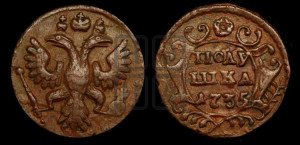 Полушка 1735 года (грудь узкая, в крыле 9-10 перьев)
