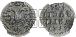 Полушка 1719 года ( без букв монетного двора, все разновидности без отметки редкости)