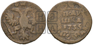 Полушка 1735 года (грудь узкая, в крыле 9-10 перьев)