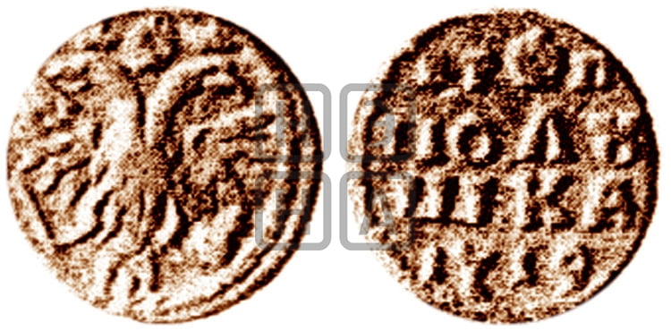 Полушка 1719 года ( без букв монетного двора, все разновидности без отметки редкости) - Биткин: #3673