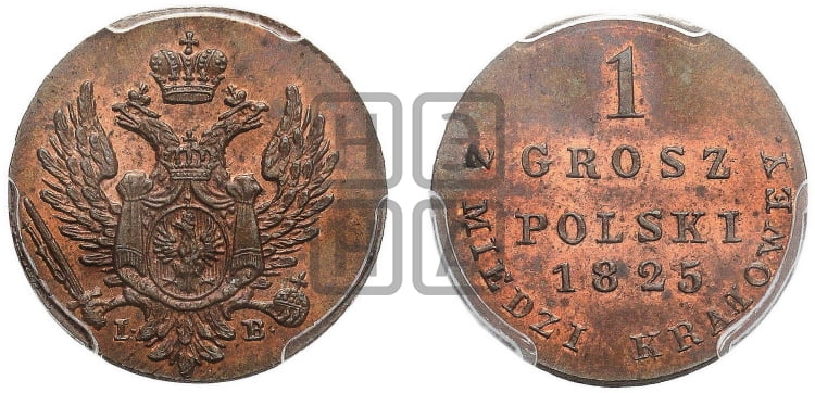 1 грош 1825 года IВ - Биткин #Н905 (R2) новодел