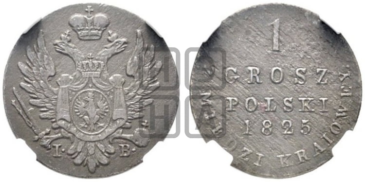 1 грош 1825 года IВ - Биткин #904