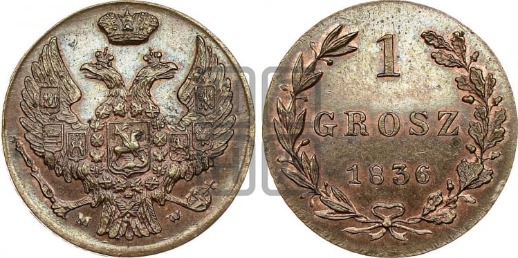 1 грош 1836 года МW - Биткин #Н1215 (R2) новодел