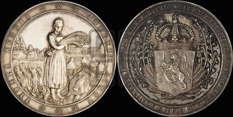 10-я сельскохозяйственная выставка в Вазе. 1894