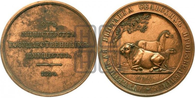 медаль Министерство государственных имуществ. 1844 - Дьяков: 575.1
