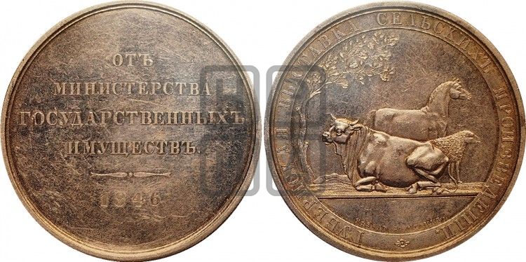 медаль Министерство государственных имуществ. 1844 - Дьяков: 575.2