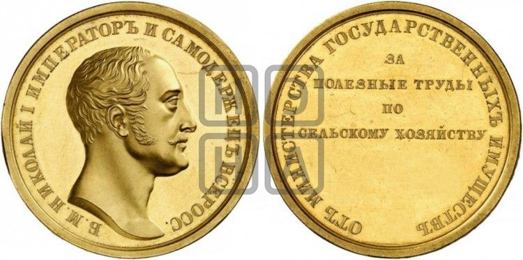 медаль Министерство государственных имуществ. БД - Дьяков: 576.2