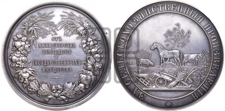 медаль Министерство государственных имуществ. БД - Дьяков: 576.8