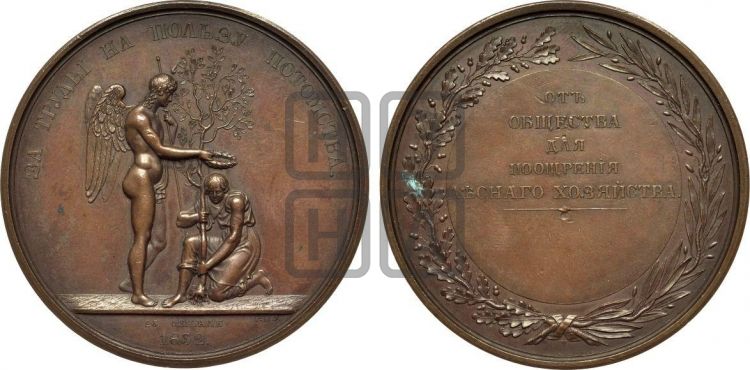 медаль Общество поощрения лесного хозяйства. 1832 - Дьяков: 502.1