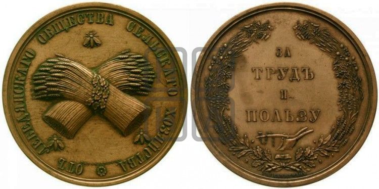 медаль Лебедянское общество сельского хозяйства. БД - Дьяков: 592.1