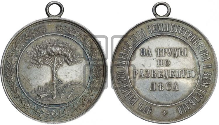 медаль За труды по разведению леса. БД - Дьяков: 859.2
