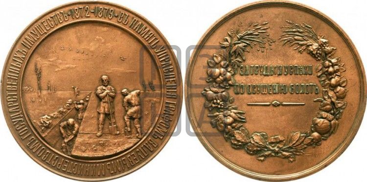 медаль За труды и успехи по лесоразведению. 1879 - Дьяков: 862.1