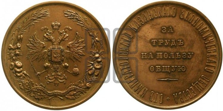 медаль Императорское Казанское экономическое общество. БД - Дьяков: 688.1