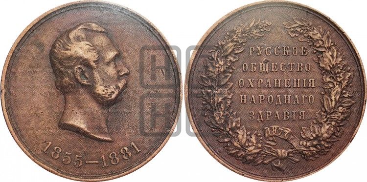 медаль Русское общество охранения народного здравия. 1881 - Дьяков: 884.1