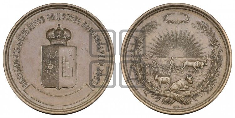 медаль Сельскохозяйственное общество Боровичского уезда. БД - Дьяков: 968.1