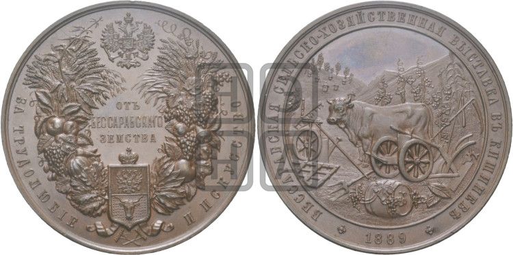 медаль Бессарабская сельскохозяйственная выставка в Кишиневе. 1889 - Дьяков: 1034.1