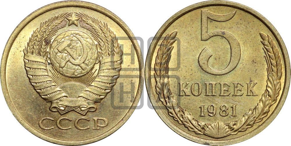 5 копеек 1981 года