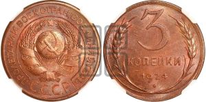 3 копейки 1924 года 