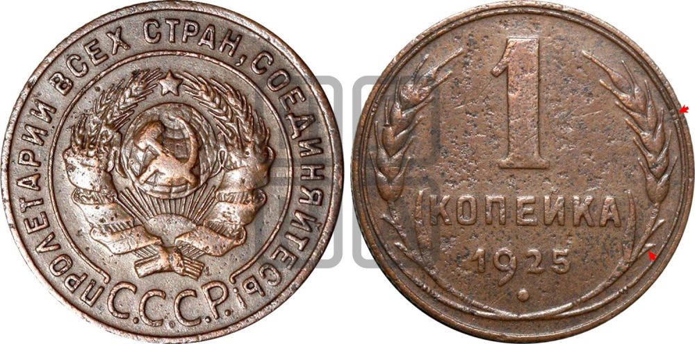 1 копейка 1925 года (серп ниже полюса)| Адрианов - 6
