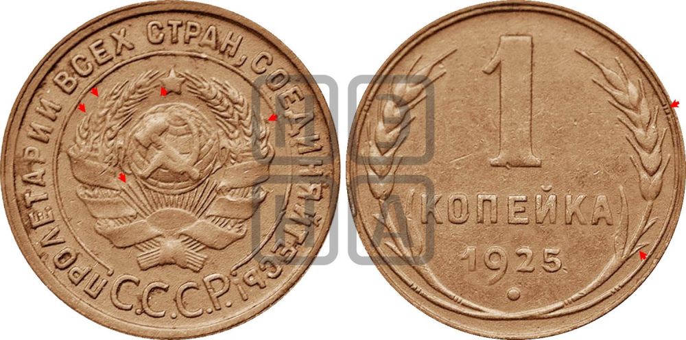 1 копейка 1925 года (серп в полюсе)| Адрианов - 8