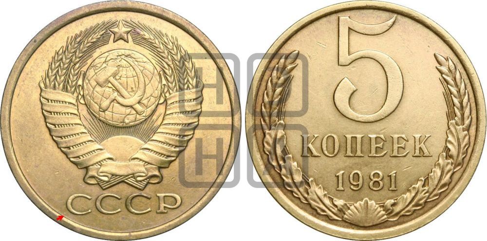 5 копеек 1981 года | Адрианов - 235