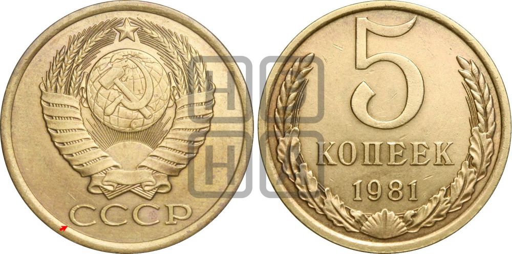 5 копеек 1981 года | Адрианов - 236