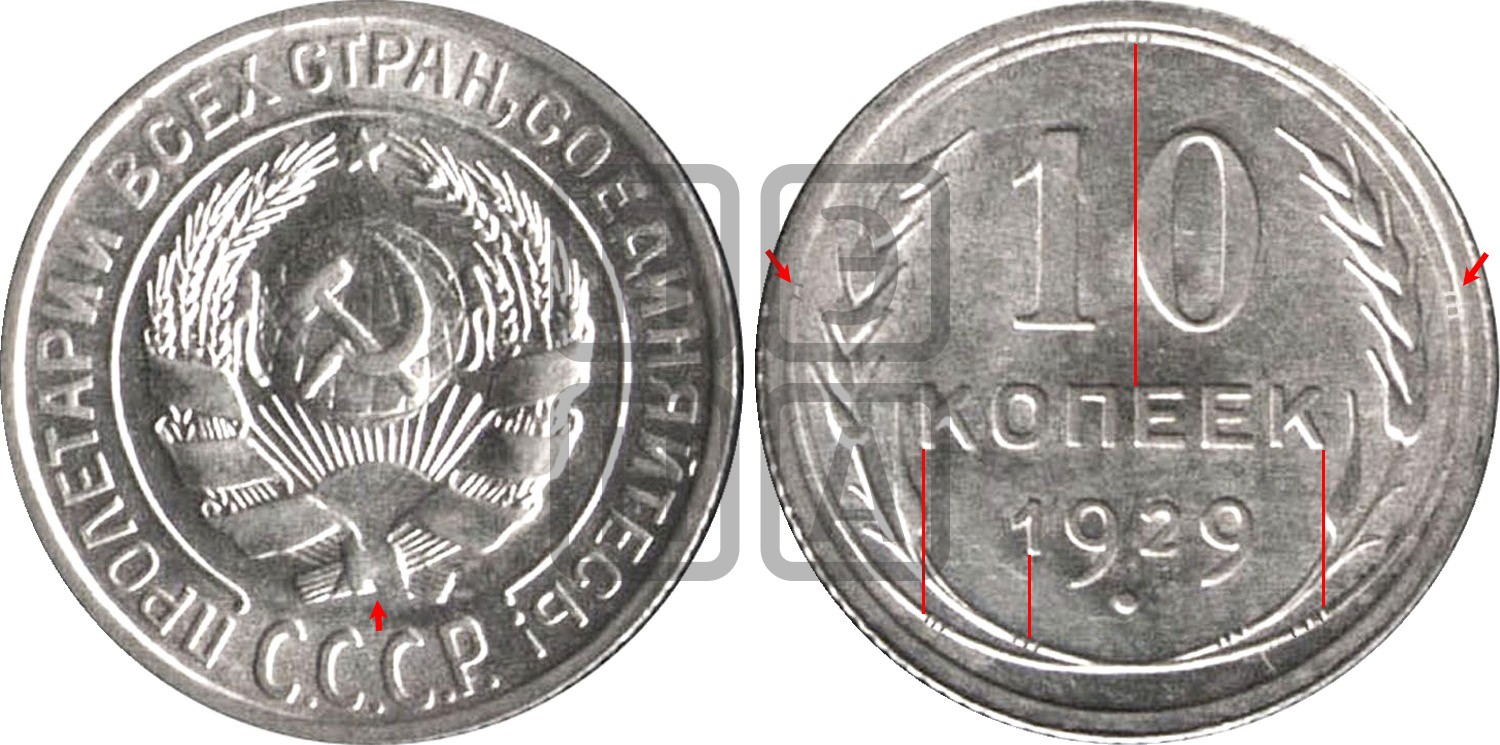 Стоимость монет 1929 года цена. 10 Копеек 1929. Вид монеты 1929 года. 50 Копеек 1929 года. 20 Копеек 1929 года монеты разновидности.